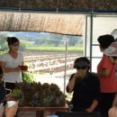 환영농장 이미지