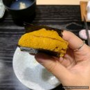 스시카이세이