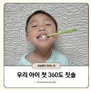 더시작 | 360도 칫솔로 시작하는 더트웰브 아기 칫솔 후기