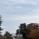 계명대학교 이미지