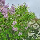 원주굽이길 7코스 태조왕건길 이미지