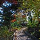 청운공원 이미지