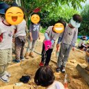 도담소리숲 유치원 이미지