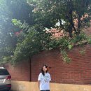 화이트호프 - 시흥시 | 아워호프 마가렛 티셔츠 화이트. S 사이즈 후기