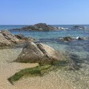 울진 거일1리어촌체험마을 이미지