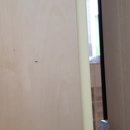 안서초등학교 병설유치원 이미지