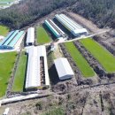 장흥목장 이미지