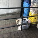 크로바편의점 이미지