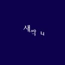 꽂다 이미지