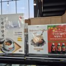 레인보우 앵무 | 봄기운 가득한 식물원 감성🌿카페 피오레 방문 후기