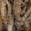 감로농장 이미지