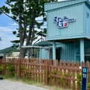 장호비치캠핑장 티스토리