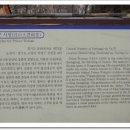 송강길 Daum카페