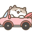 정운투어 이미지