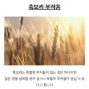 흑보리 효능과 부작용 이미지