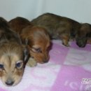 리코리아몰 이미지