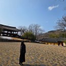 죽서루 | 강원도 삼척 가볼 만한 곳 BEST 4 - 삼척중앙시장/죽서루/삼척해상스카이워크&amp;소망의탑/쏠비치 삼척...