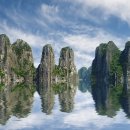 예일동물병원 이미지