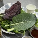 대박채소