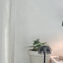 지다무드 이미지