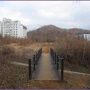 올레길 산림형 4코스 Daum카페