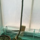 기서농장 이미지