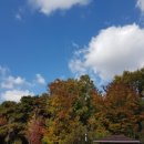 죽백근린공원2 이미지