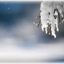 하얀세상 이미지