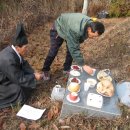 대조1리 이미지