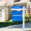 상폐 위기에서 500% 폭등… ‘밈주식’ 대명사가 된 오픈도어 이미지