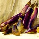 분당-377 이미지