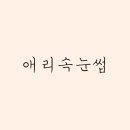애리속눈썹 이미지