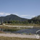 새나리로 이미지