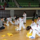 화랑체육관(태권도) 이미지