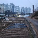 노적산로 이미지