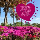 사회복지법인 남광사회복지회 와치종합사회복지관 | 개그맨 김원효도 치과의사도 재능기부, 시민 동참이 복지 미래다[출처. 국제신문]