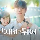 와우당 네이버블로그