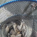 진우낚시터 이미지