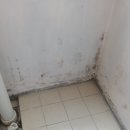 용수세천 이미지