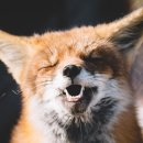 국가대표 메카태권도 이미지