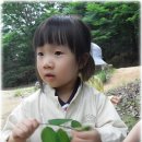 키즈빌
