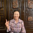 롯데부여아울렛리본