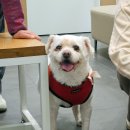 계양SKY동물메디컬센터 이미지