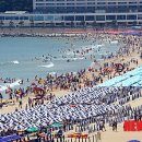바다로가자 - 고양시 덕양구 통일로768번길 17 | 바다로가자