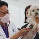 담양군 반려유기동물 공공진료소 이미지