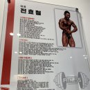 페르보 피트니스 이미지