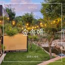 숲속애담소 | 청주 캠핑식당 '숲속애' (친절, 캠핑감성, 청주 맛집, 바베큐, 계곡, 물놀이, 룸, 가격, 예약, 이용시간...