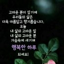 고혈압의 비밀 5 이미지