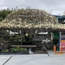 목련주유소 이미지