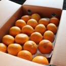 종남농장 이미지